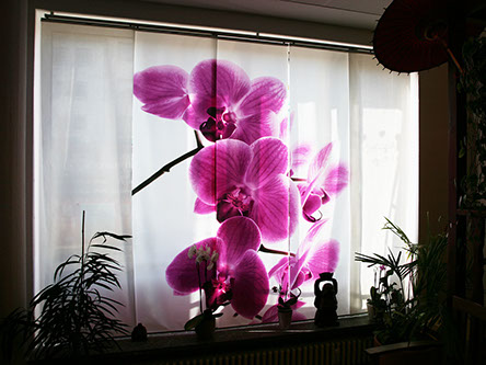 SAYAM Thai Massage Freiburg